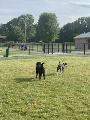 Southside Community Park