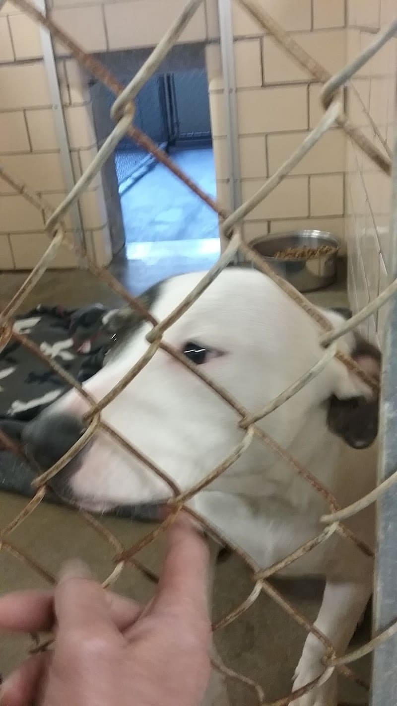 Tuscarawas County Dog Warden - New Philadelphia, OH