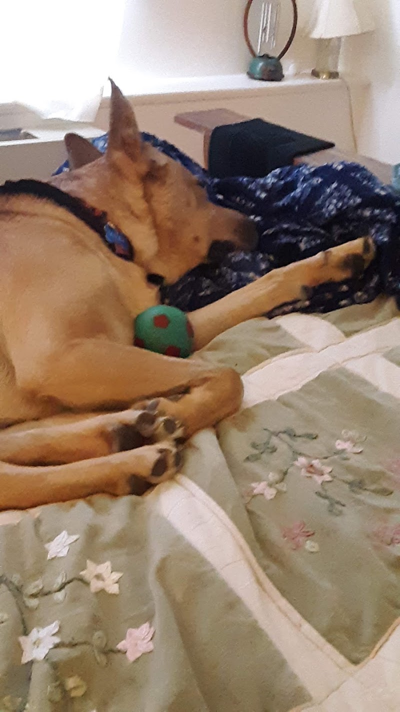Tuscarawas County Dog Warden - New Philadelphia, OH