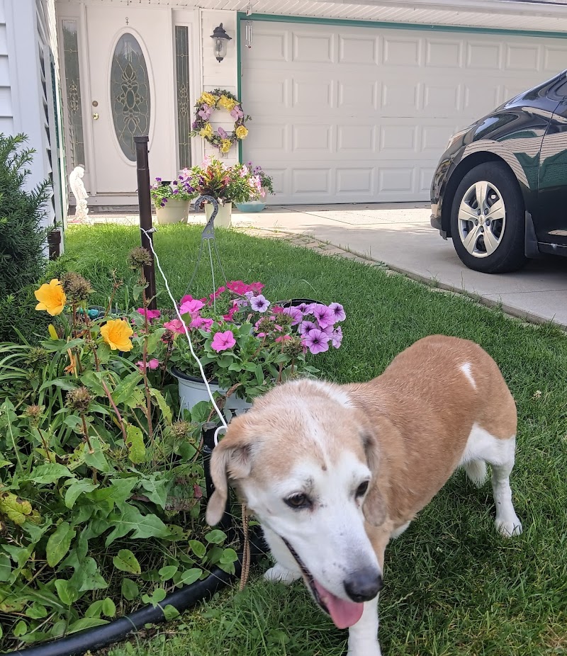 Tuscarawas County Dog Warden - New Philadelphia, OH