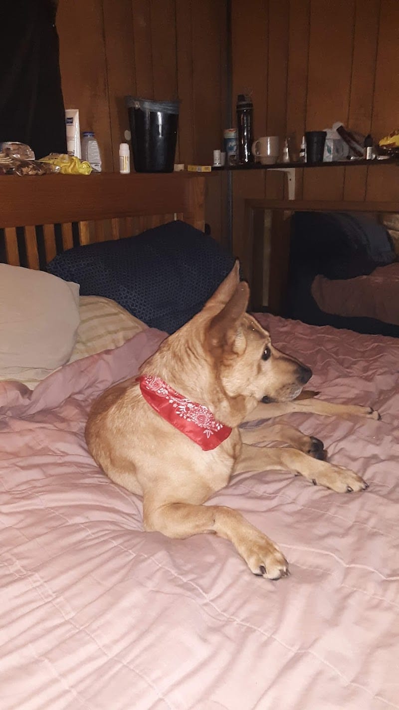 Tuscarawas County Dog Warden - New Philadelphia, OH