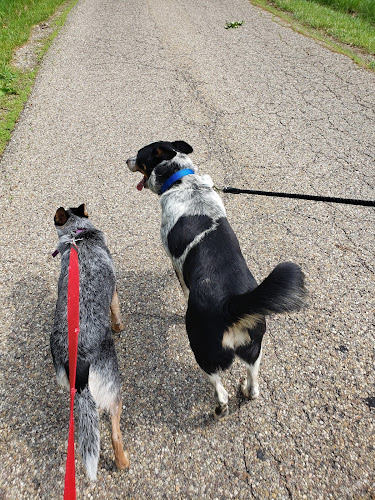 Tuscarawas County Dog Warden