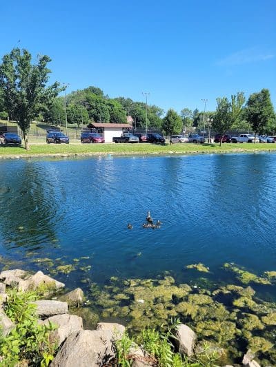 Tuscora Park - New Philadelphia, OH