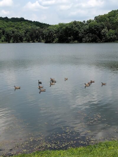 Lake Hope State Park Beach - New Plymouth, OH