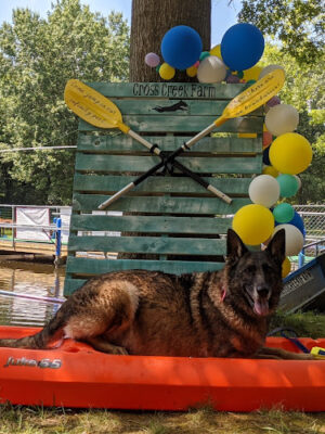Cross Creek Farm Canine Water Sports LLC