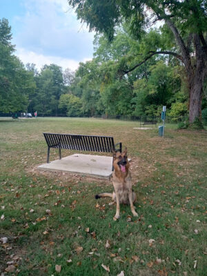 New Richmond Dog Park