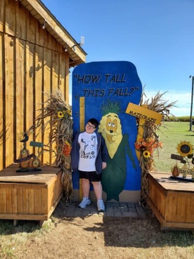 Maze Craze Corn Maze - New Springfield, OH