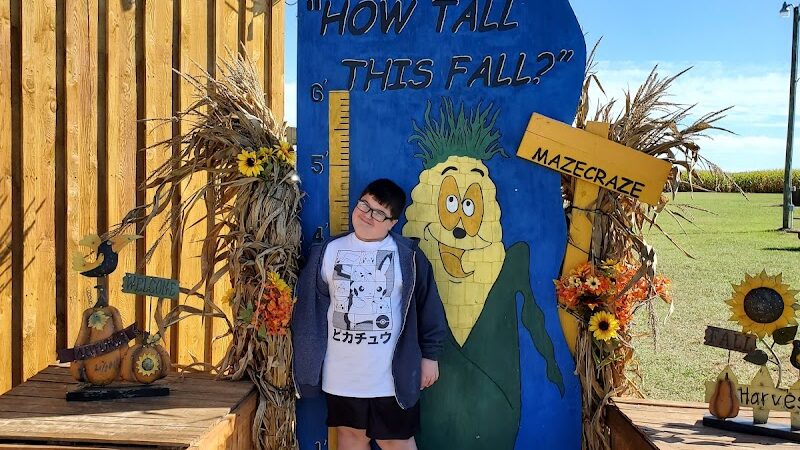 Maze Craze Corn Maze - New Springfield, OH