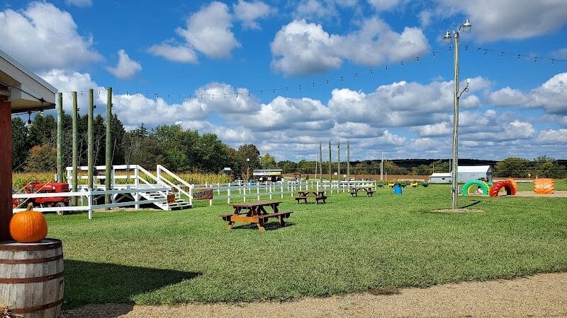 Maze Craze Corn Maze - New Springfield, OH