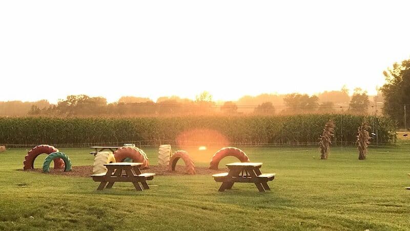 Maze Craze Corn Maze - New Springfield, OH