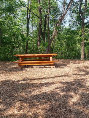 Springfield Forest, Mill Creek MetroParks