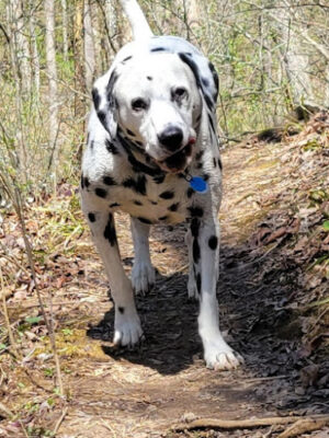 Fallsville Wildlife Area