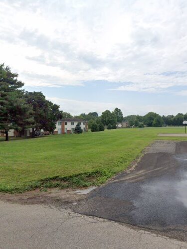 Dog Park
