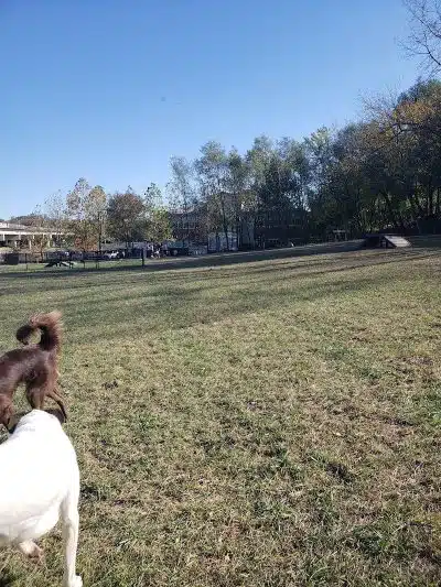 East Row Dog Park - Newport, KY