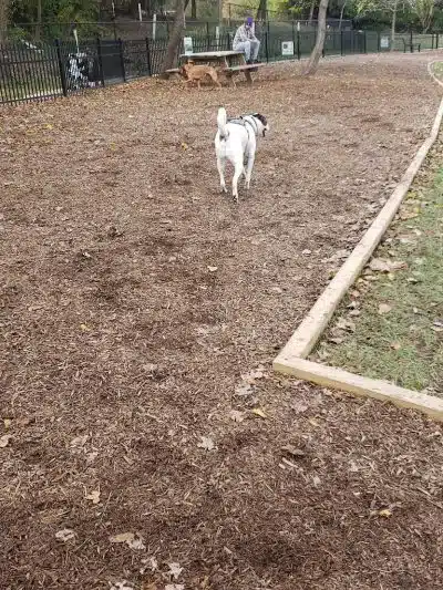 East Row Dog Park - Newport, KY