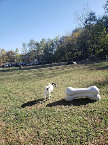 East Row Dog Park