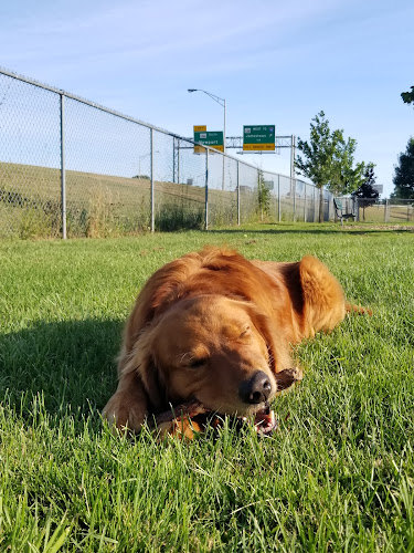 Newport Dog Park