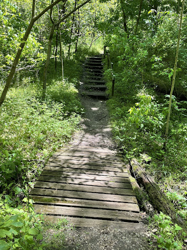 Miami Fort Trailhead