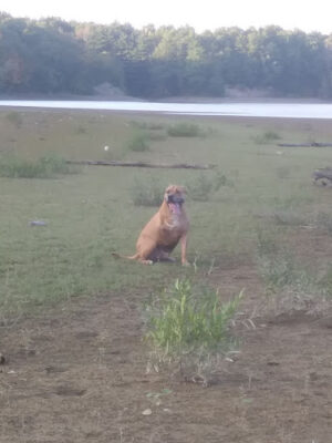 Berlin Lake Wildlife Area