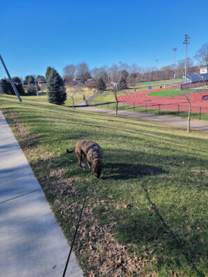 Hoover Park