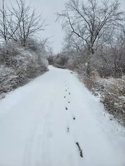 Hoover Park Trail - North Canton, OH