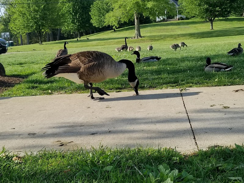 Price Park - North Canton, OH