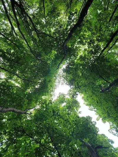 Rotary Park - North Canton, OH