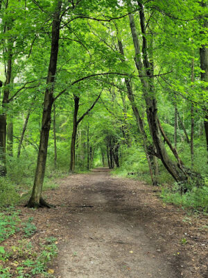 Rotary Park