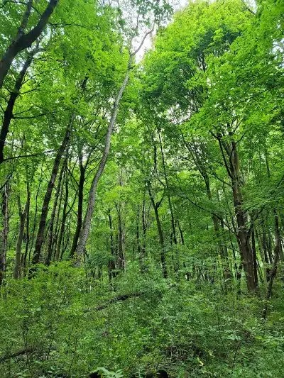 Rotary Park - North Canton, OH