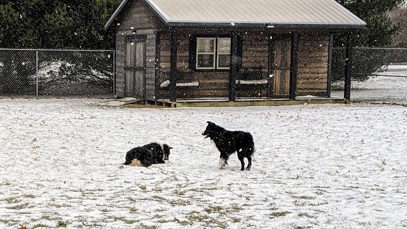 Ruff Run Dog Park - North Canton, OH