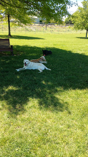 Ruff Run Dog Park