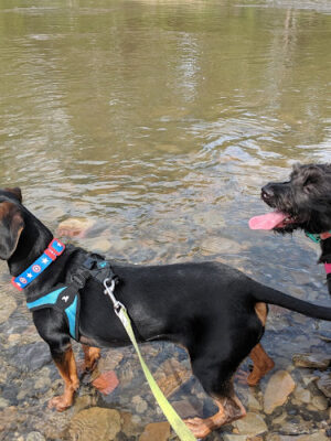 Rocky River Reservation