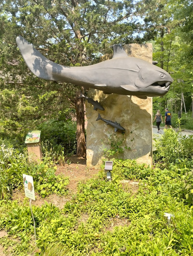 Rocky River Reservation - North Olmsted, OH