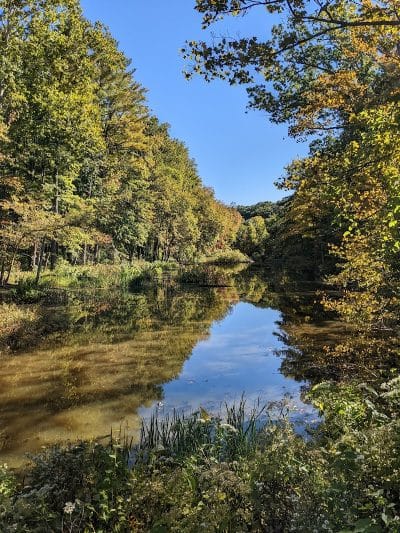Rocky River Reservation - North Olmsted, OH