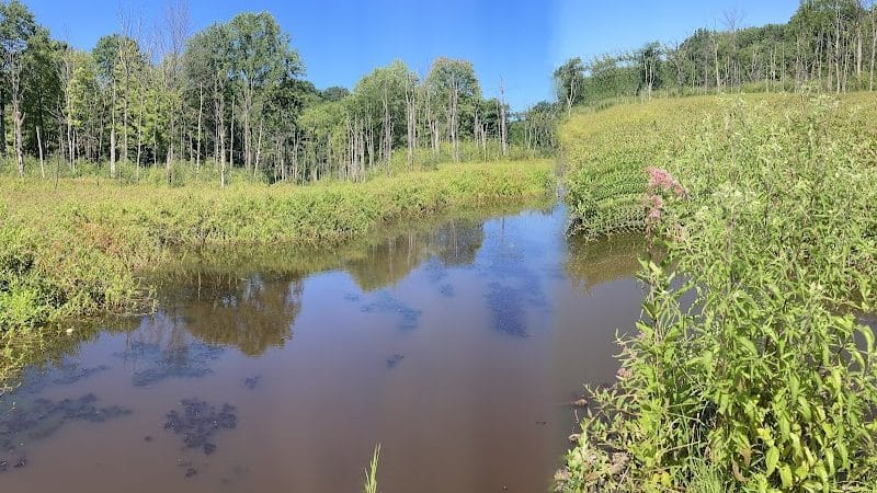 Rocky River Reservation - North Olmsted, OH