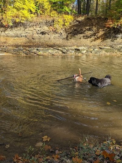 Rocky River Reservation - North Olmsted, OH