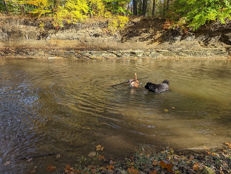 Rocky River Reservation - North Olmsted, OH