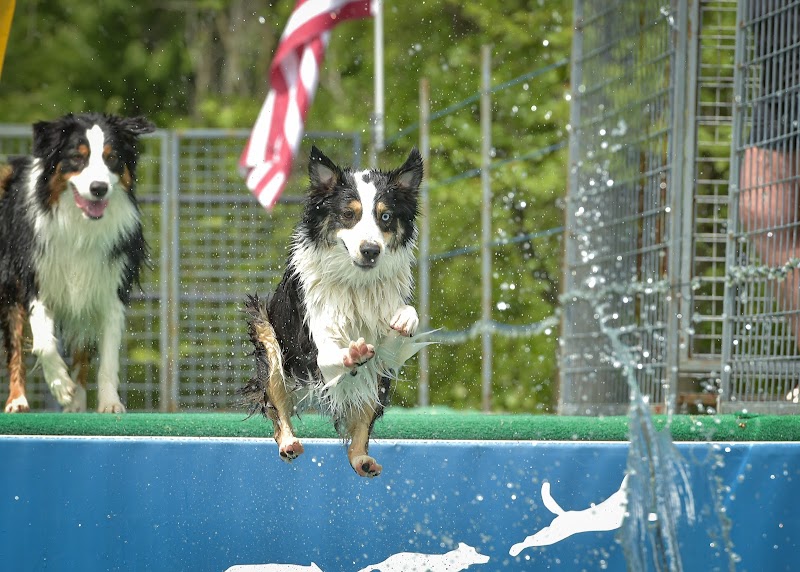 Canine Superheroes - North Ridgeville, OH