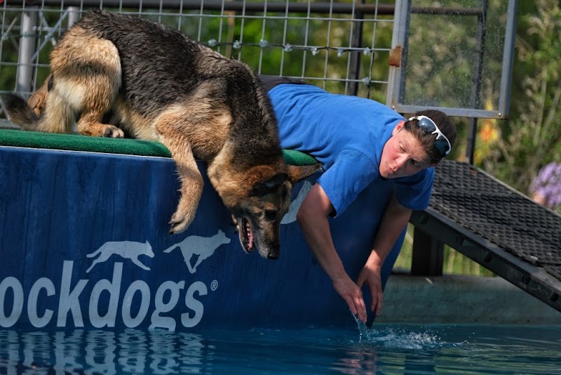 Canine Superheroes - North Ridgeville, OH