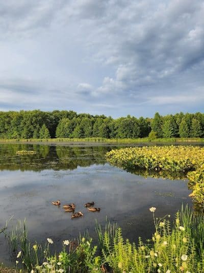 Sandy Ridge Reservation - North Ridgeville, OH