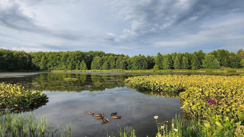 Sandy Ridge Reservation - North Ridgeville, OH