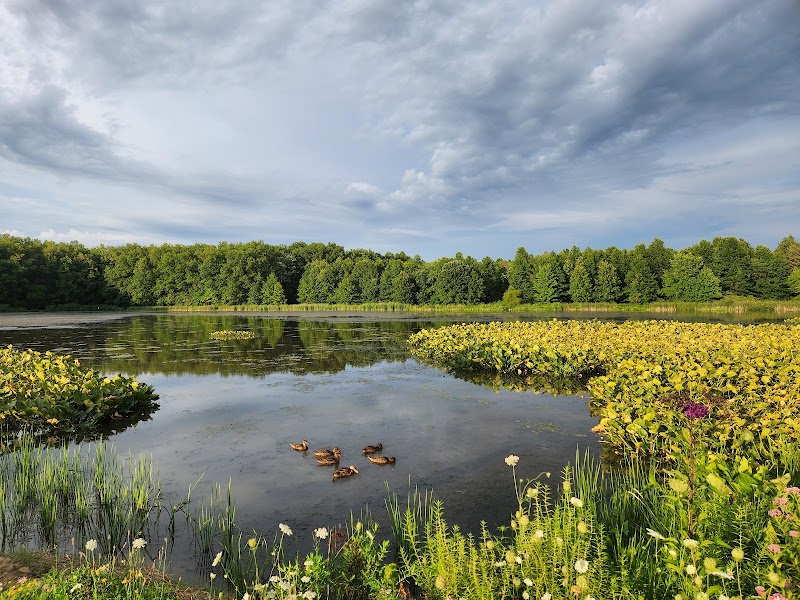 Sandy Ridge Reservation - North Ridgeville, OH