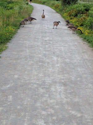 Sandy Ridge Reservation