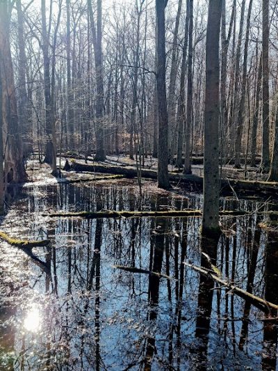 Sandy Ridge Reservation - North Ridgeville, OH