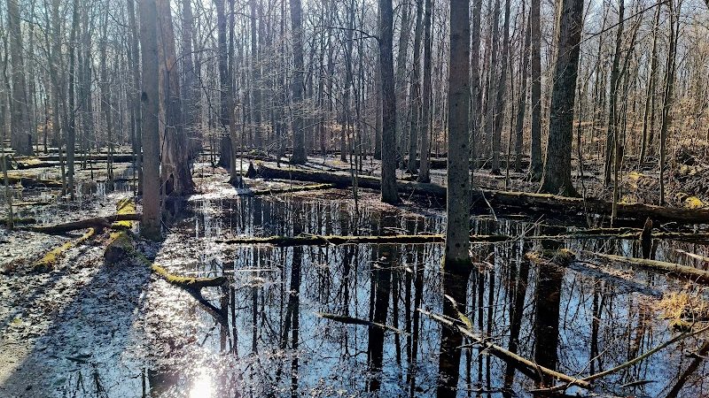 Sandy Ridge Reservation - North Ridgeville, OH