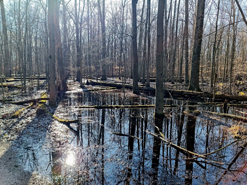 Sandy Ridge Reservation - North Ridgeville, OH