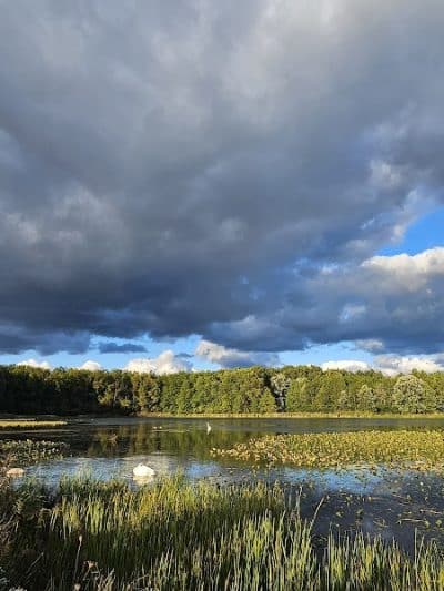 Sandy Ridge Reservation - North Ridgeville, OH