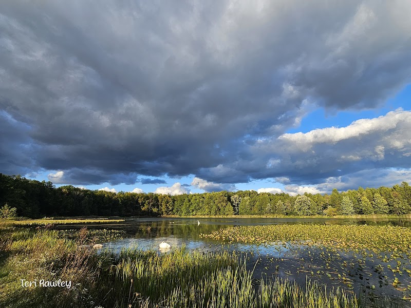 Sandy Ridge Reservation - North Ridgeville, OH