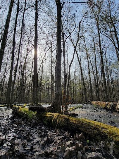 Sandy Ridge Reservation - North Ridgeville, OH