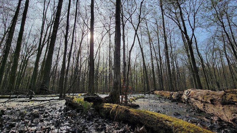 Sandy Ridge Reservation - North Ridgeville, OH